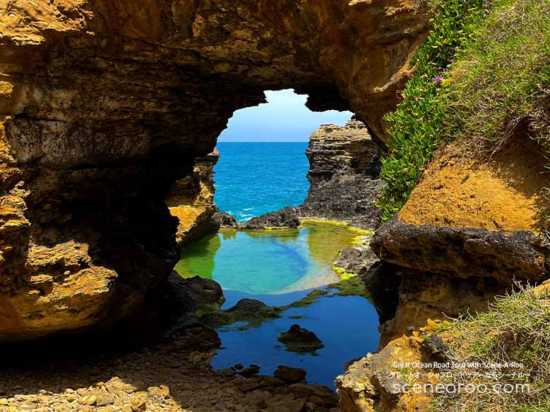 The Grotto - Great Ocean Road tour with Scene-A-Roo
